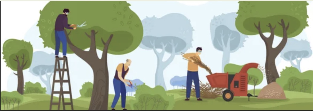 Arborist Specialist